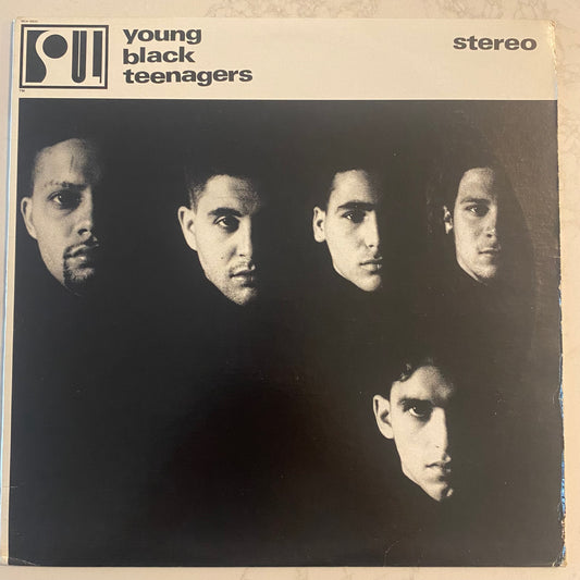 Young Black Teenagers - Young Black Teenagers (LP, Album) (L)