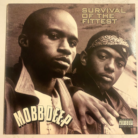 Mobb Deep - Survival Of The Fittest (12")