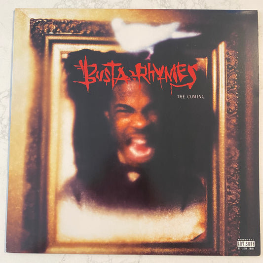 Busta Rhymes - The Coming (2xLP, Album)
