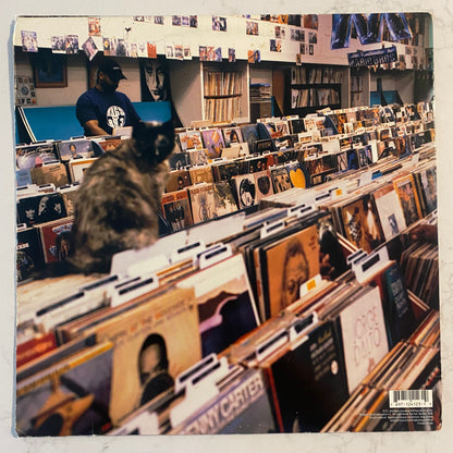 DJ Shadow - Endtroducing..... (2xLP, Album)
