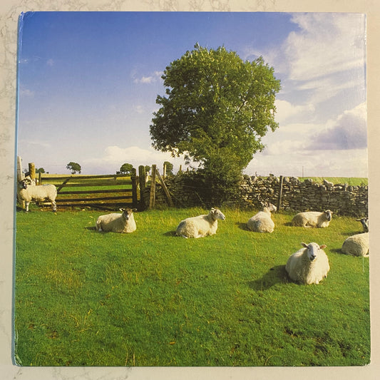 The KLF- Chill Out, LP, Album Unofficial Release