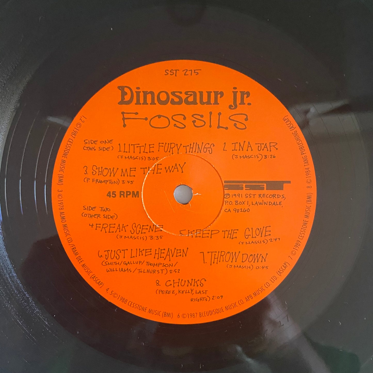 Dinosaur Jr. - Fossils (12", Comp). ROCK