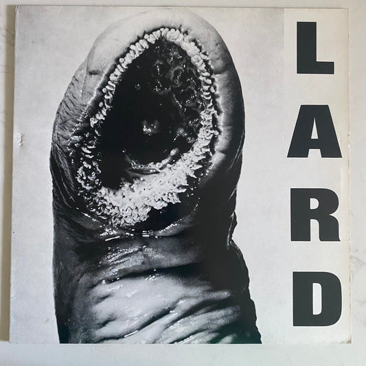 Lard - The Power Of Lard EP (12", EP) ROCK