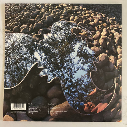 Jamiroquai - Synkronized (LP, Album, Gat) FUNK