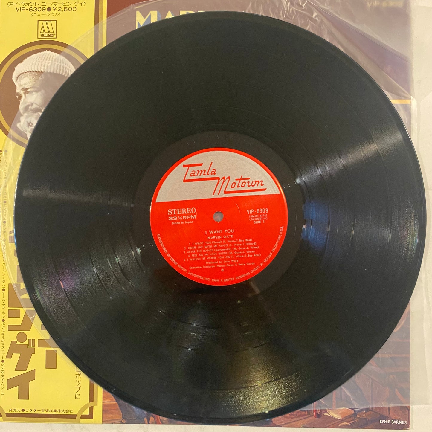 Marvin Gaye - I Want You (LP, Album)