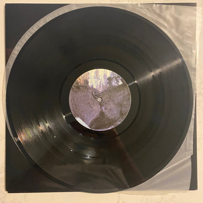 Pantha Du Prince - Black Noise (2x12", Album)