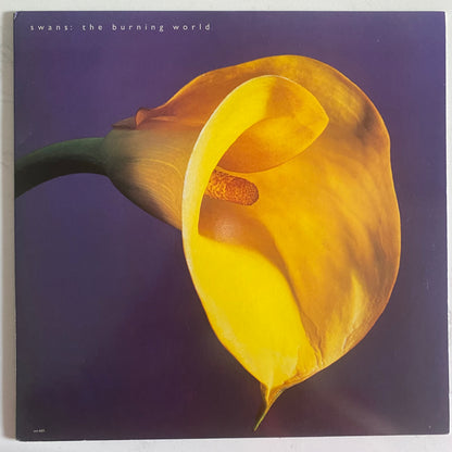 Swans - The Burning World (LP, Album). ROCK