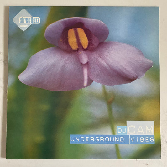 DJ Cam - Underground Vibes (LP, Album). HIP-HOP