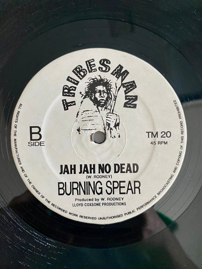 Burning Spear - Free The Whole Wide World (12", Single, RE)